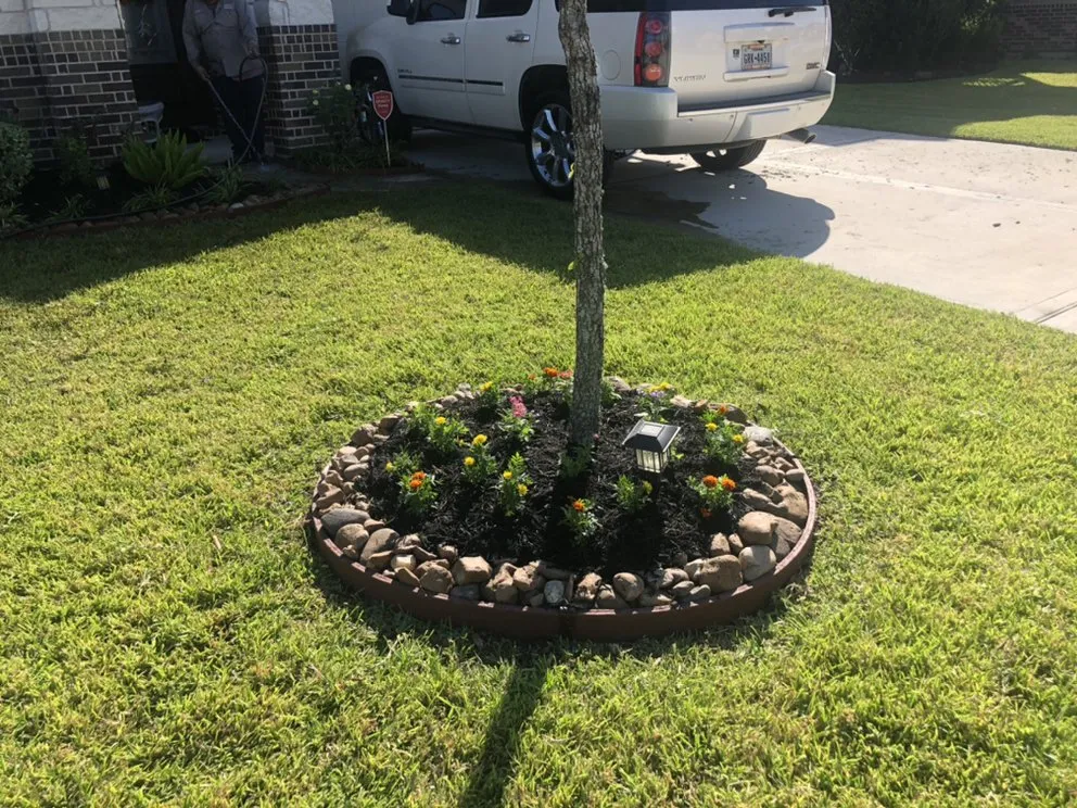 Top-rated landscape design for year-round maintenance in Crosby, TX by JR Flores Landscape Services