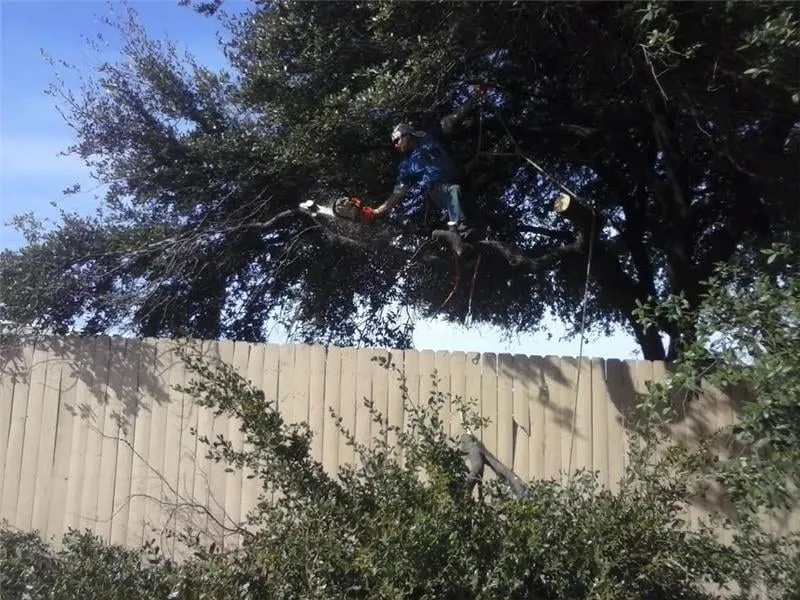 Trusted lawn care service in Crosby, TX - JR Flores Landscape Services