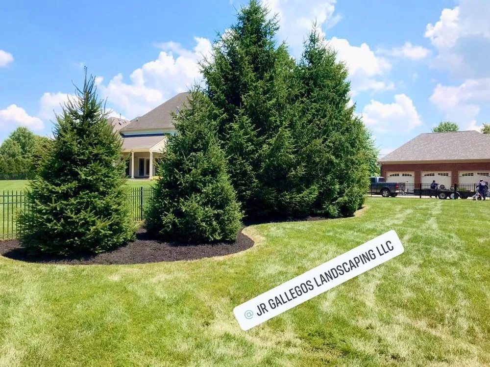 Custom lawn care service for year-round maintenance in Louisville, KY by Jr Gallegos Landscaping