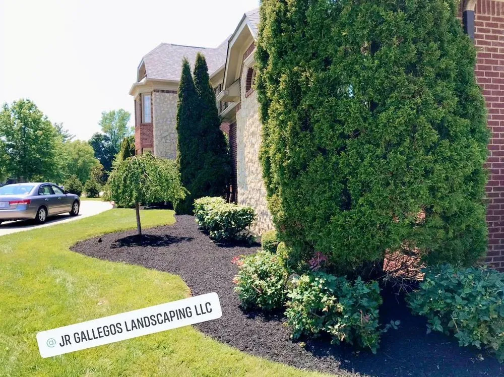 Reliable lawn mowing service in Louisville, KY by Jr Gallegos Landscaping