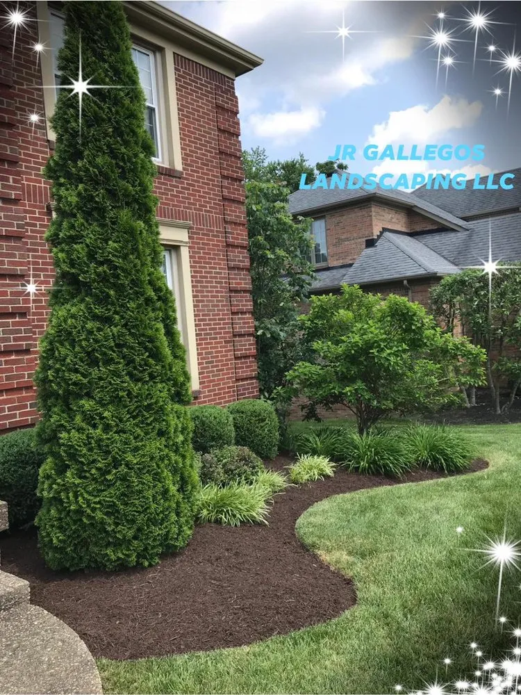 Expert yard maintenance near you across Louisville, KY - Jr Gallegos Landscaping