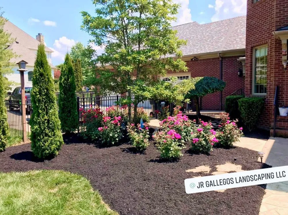 Local garden landscaping for year-round maintenance in Louisville, KY by Jr Gallegos Landscaping