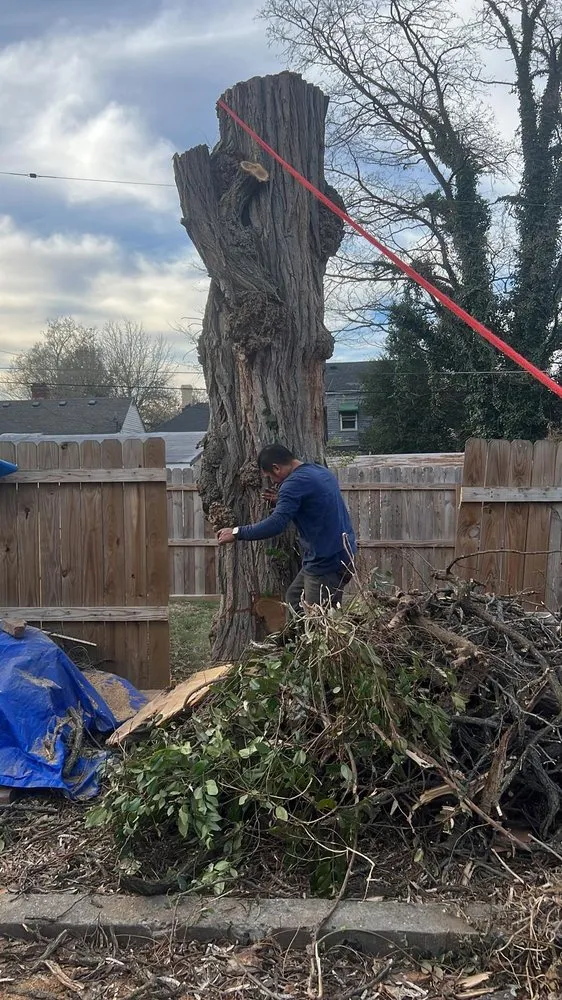 Professional outdoor landscaping in Louisville, KY by Jr Gallegos Landscaping