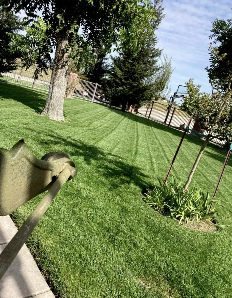 Reliable yard maintenance in Antelope, CA - JR Gardening