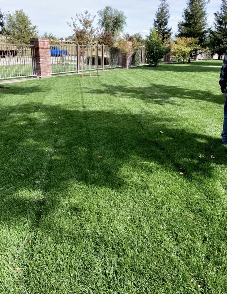 Trusted yard cleanup service for homes in Antelope, CA by JR Gardening