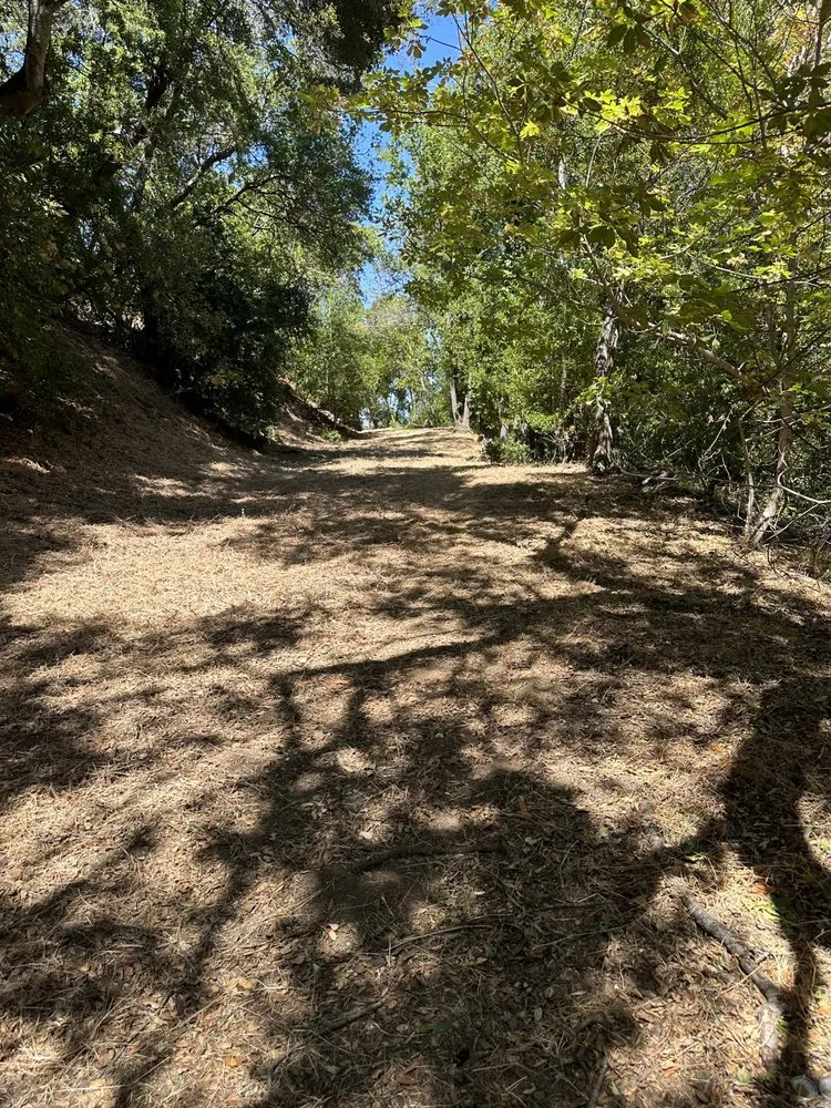 Affordable garden landscaping in San Carlos, CA by JR Gardening Service