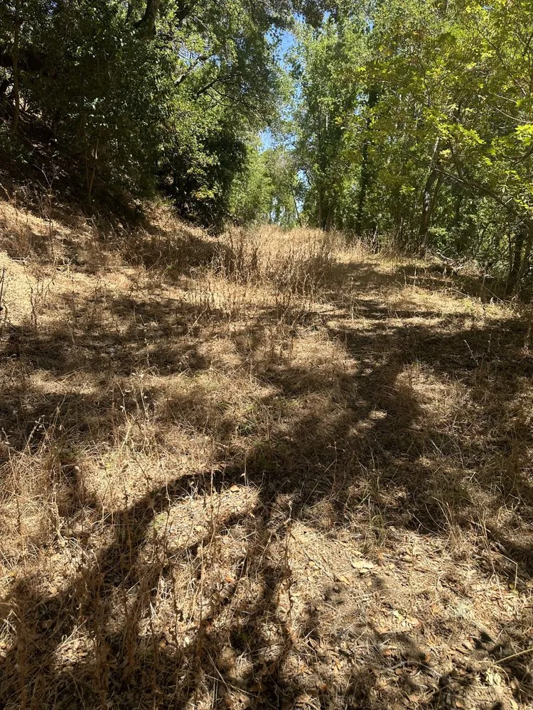 Top-rated landscape design in San Carlos, CA - JR Gardening Service