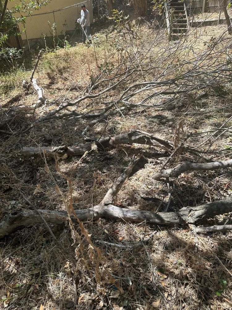 Custom landscape installation in San Carlos, CA by JR Gardening Service