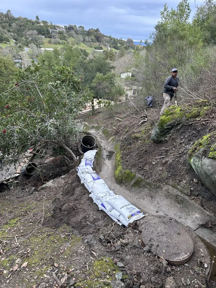 Reliable lawn care service experts serving San Carlos, CA - JR Gardening Service