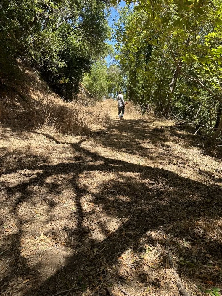 Expert lawn care service for beautiful yards in San Carlos, CA by JR Gardening Service