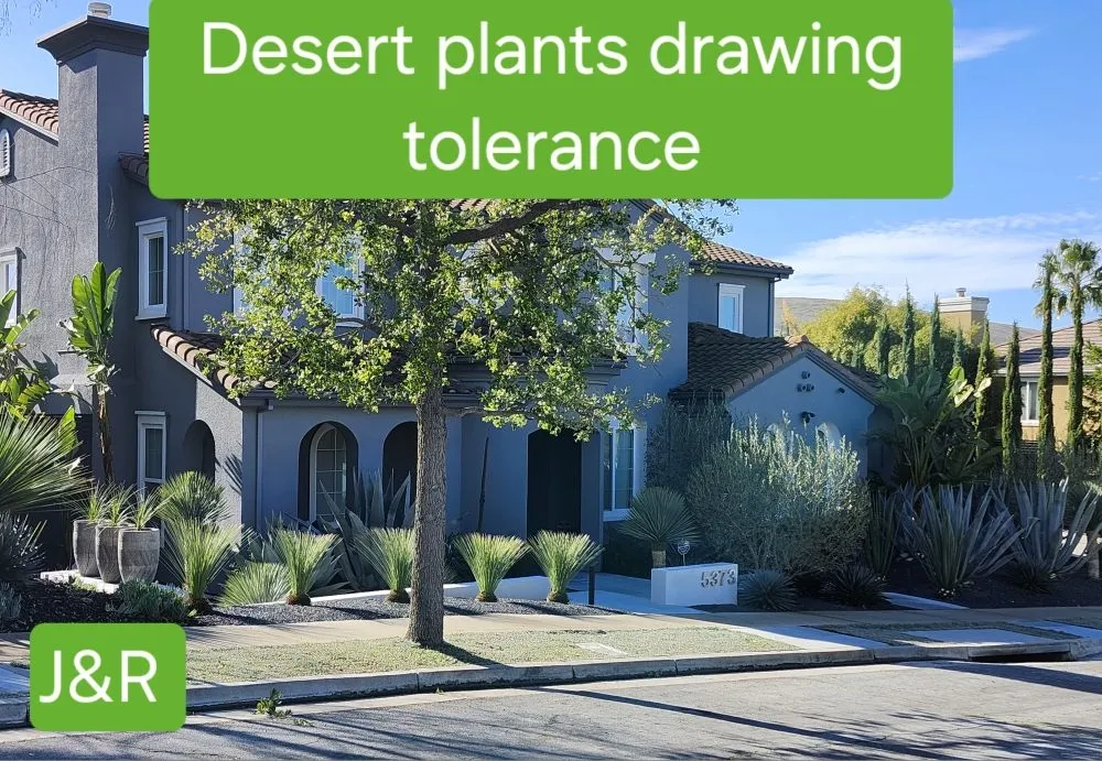 Professional lawn mowing service in San Jose, CA by J&R Green Landscape