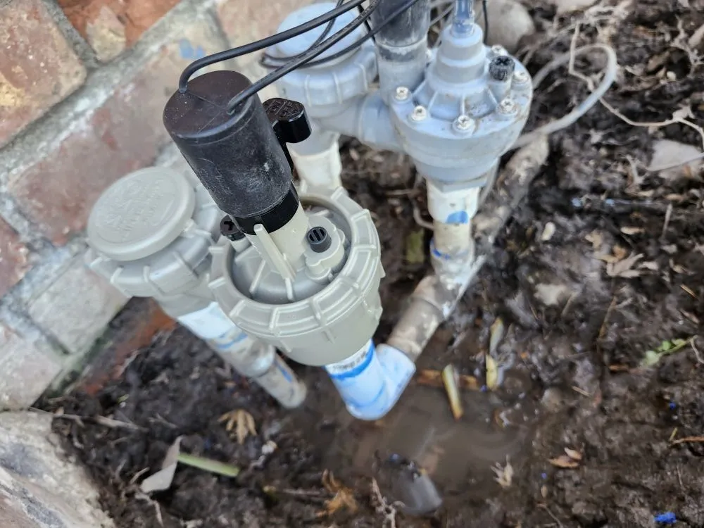 Professional landscape design in San Jose, CA by J&R Green Landscape