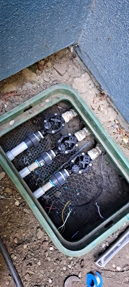 Professional landscaping services in San Jose, CA by J&R Green Landscape