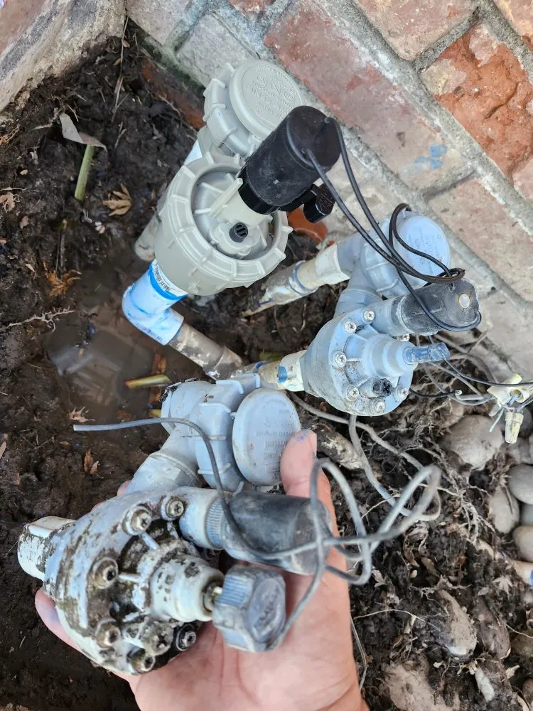 Local landscape design for year-round maintenance across San Jose, CA - J&R Green Landscape