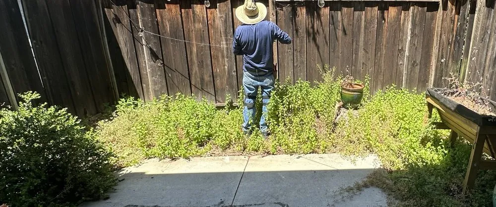 Affordable lawn mowing service in San Jose, CA by J&R Green Landscape