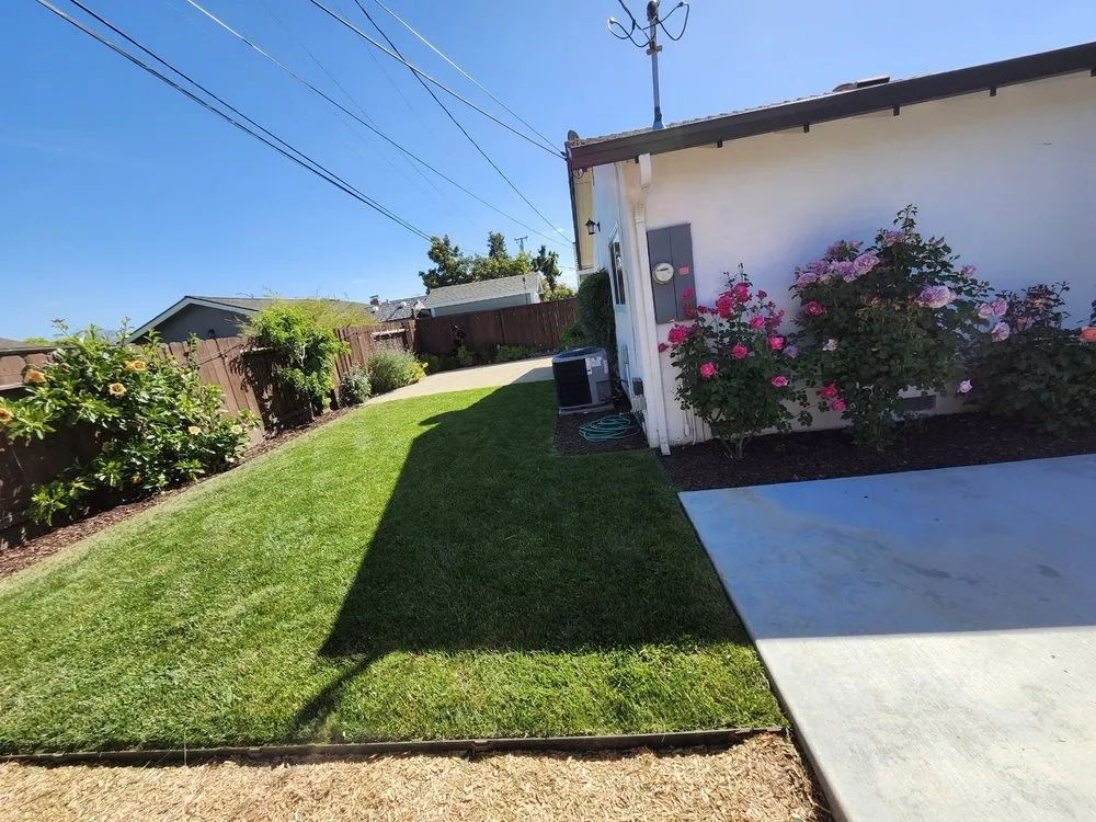 Top-rated landscape design for residential properties across San Jose, CA - J&R Green Landscape