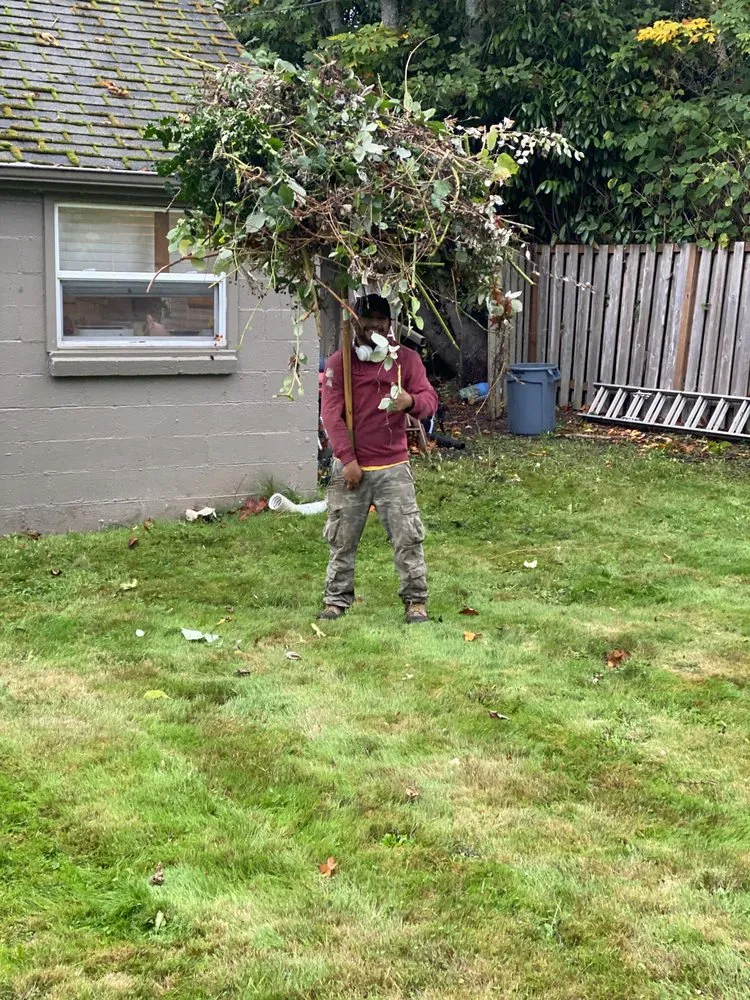 Custom residential landscaping for year-round maintenance in Tacoma, WA by JR Hardscape & Landscape