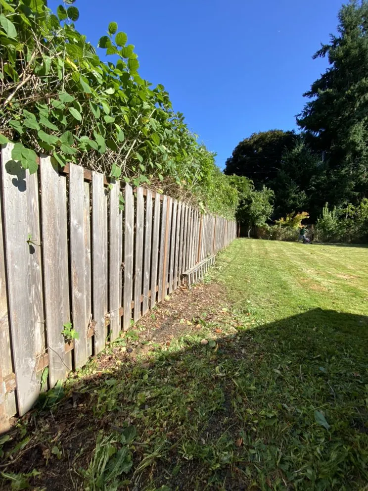 Trusted garden landscaping with custom design in Tacoma, WA by JR Hardscape & Landscape