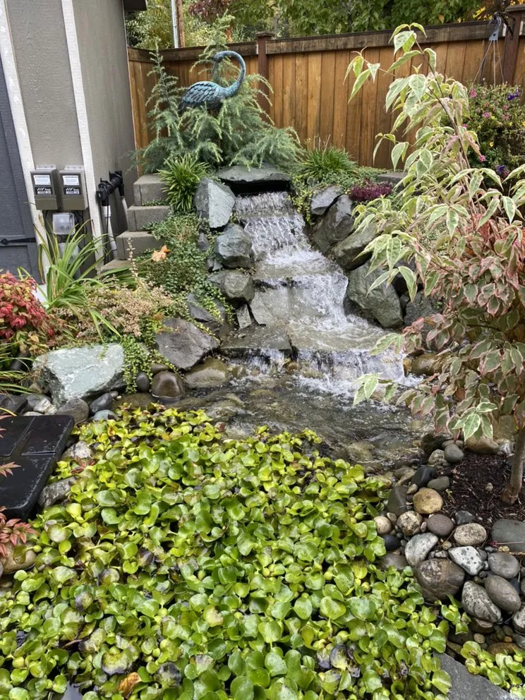 Local outdoor landscaping experts serving Tacoma, WA - JR Hardscape & Landscape