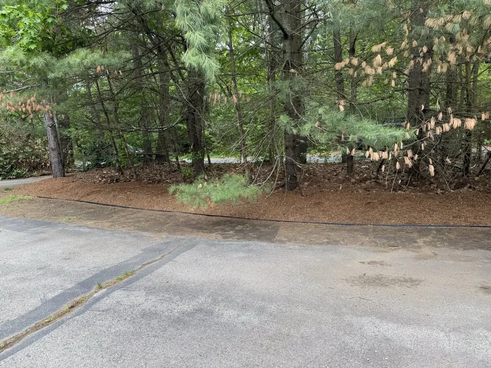 Reliable residential landscaping experts serving Wilmington, MA - JR Home and Property Maintenance