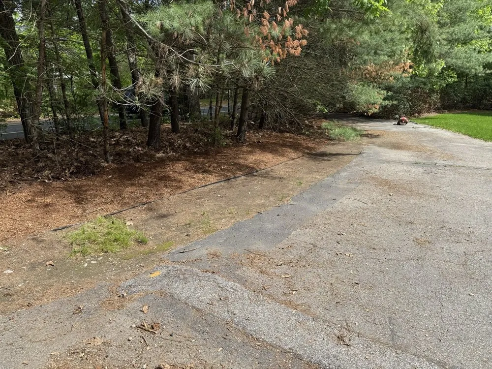 Trusted landscape design for homes across Wilmington, MA - JR Home and Property Maintenance