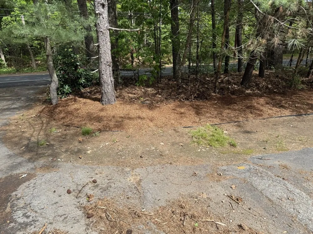 Local landscaping services near you in Wilmington, MA by JR Home and Property Maintenance