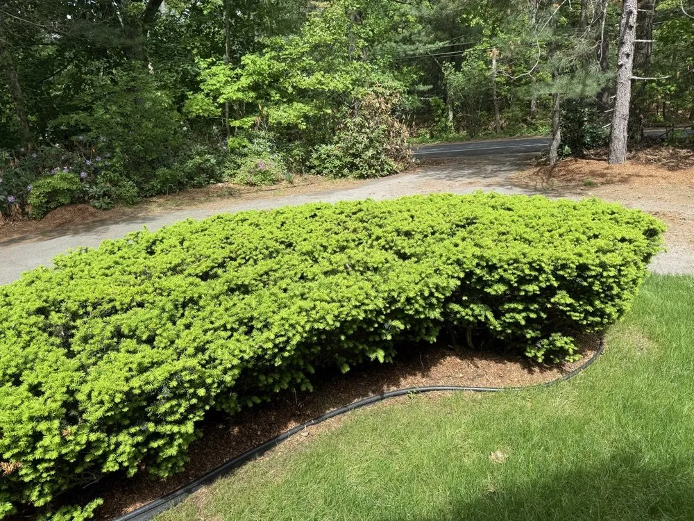 Trusted landscape installation experts serving Wilmington, MA - JR Home and Property Maintenance