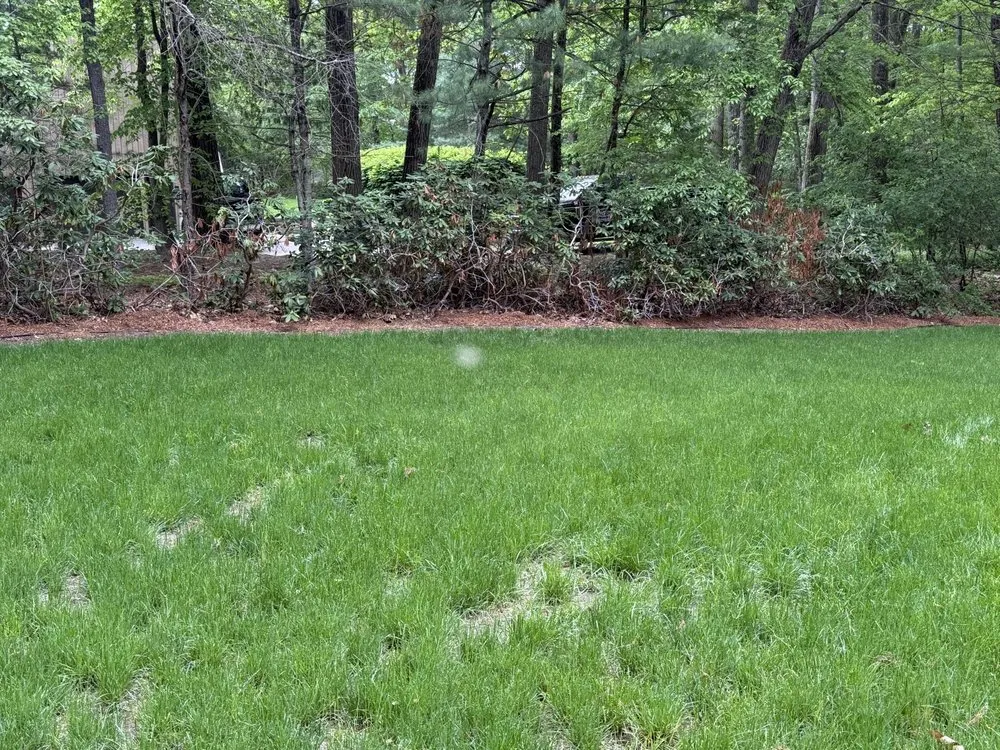 Professional yard maintenance for year-round maintenance across Wilmington, MA - JR Home and Property Maintenance