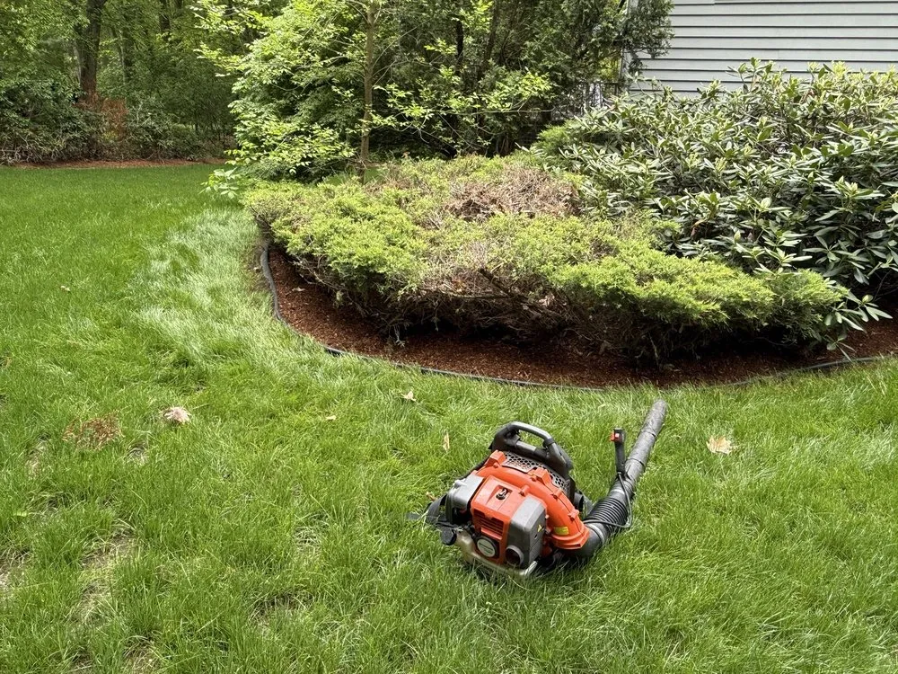 Professional yard maintenance for residential properties in Wilmington, MA by JR Home and Property Maintenance