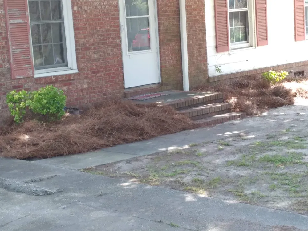 Professional lawn care service in Lillington, NC by JR Home Maintenance