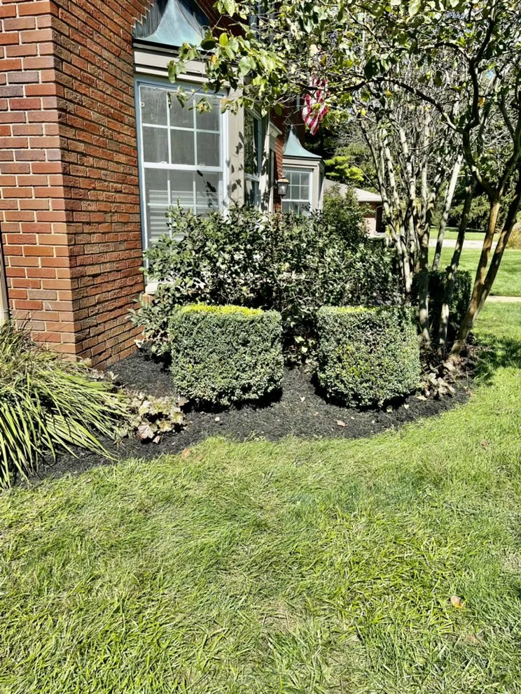 Professional landscaping services in Columbus, IN by JR Home Services