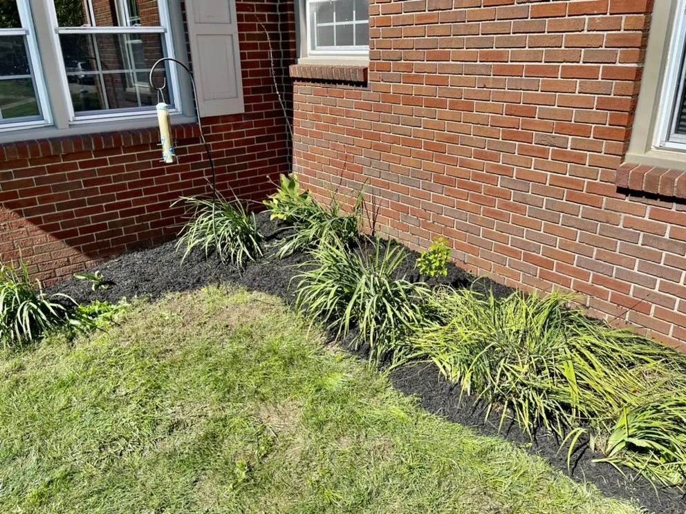 Affordable lawn care service experts serving Columbus, IN - JR Home Services