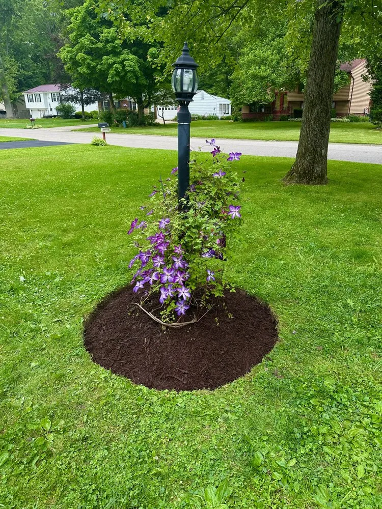 Custom yard cleanup service for beautiful yards in Warren, OH by JR Home Services