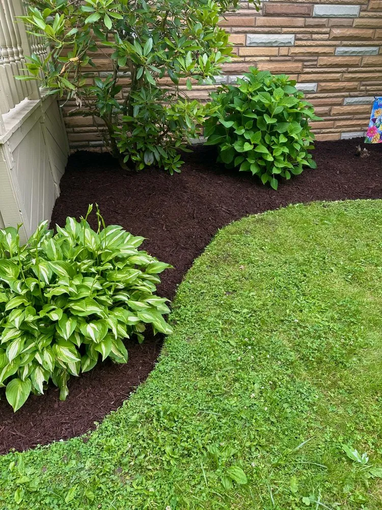 Expert lawn mowing service with custom design across Warren, OH - JR Home Services