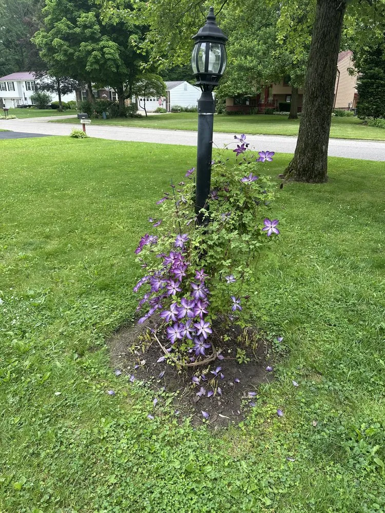 Local residential landscaping in Warren, OH by JR Home Services