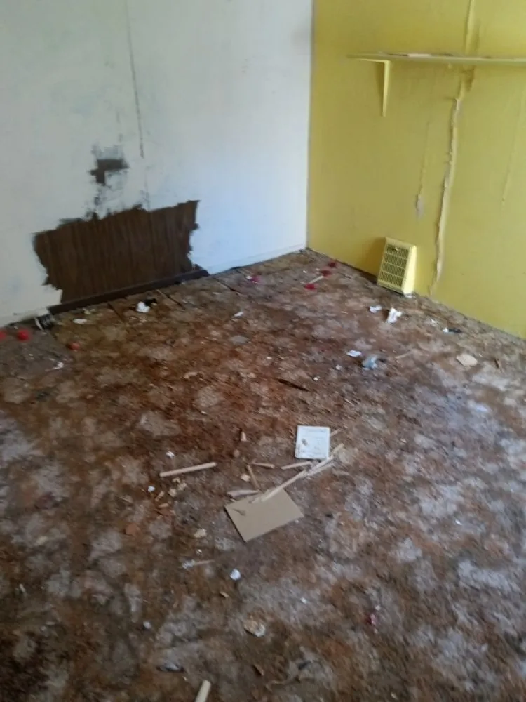 Expert lawn care service experts serving Paulsboro, NJ - J&r House Clean Out Service