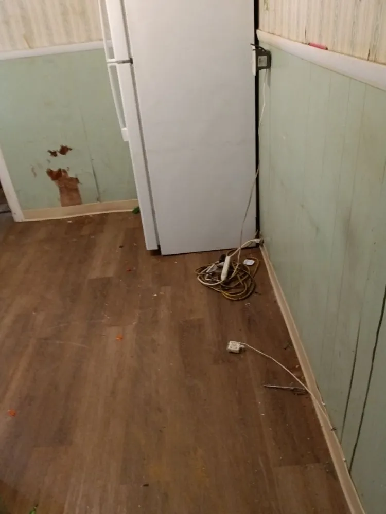 Custom lawn care service for outdoor upgrades in Paulsboro, NJ by J&r House Clean Out Service