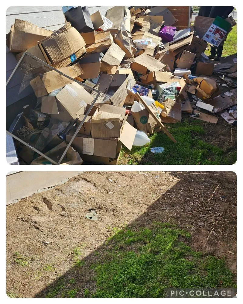 Reliable landscaping services for year-round maintenance across Kyle, TX - Jr Junk Removal & Lawn Care