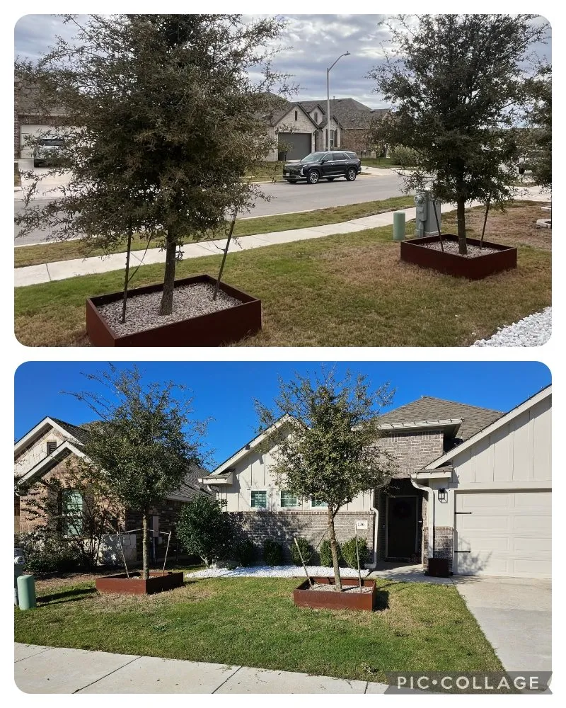 Affordable lawn care service near you in Kyle, TX by Jr Junk Removal & Lawn Care