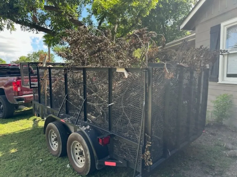 Trusted yard maintenance for year-round maintenance in Kyle, TX by Jr Junk Removal & Lawn Care
