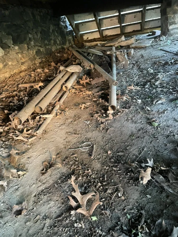 Expert yard cleanup service for residential properties in Brooklyn Park, MD by Jr Junk Removal