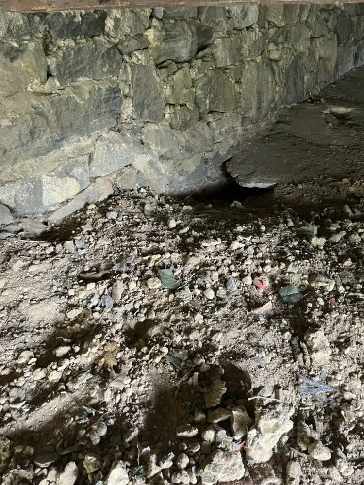 Expert yard cleanup service with custom design across Brooklyn Park, MD - Jr Junk Removal