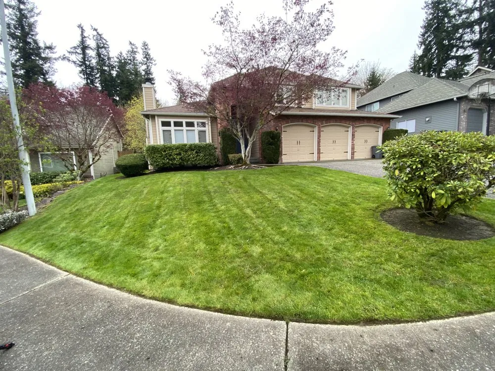 Professional garden landscaping for outdoor upgrades in Kent, WA by JR Landcare