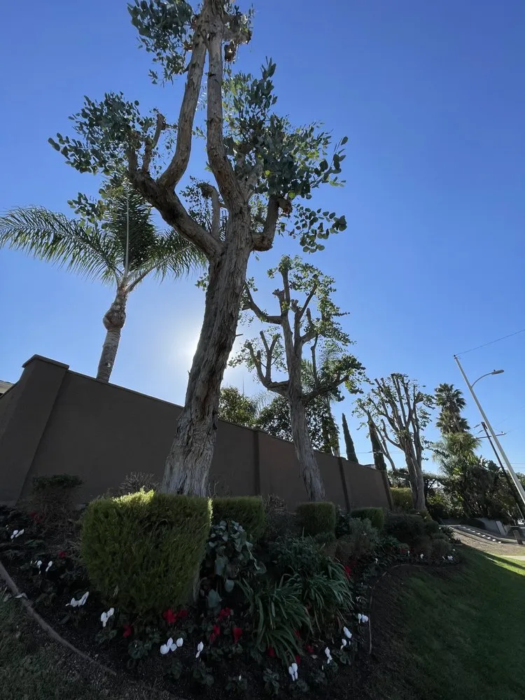 Expert outdoor landscaping in West Covina, CA - JR Landscape And Design