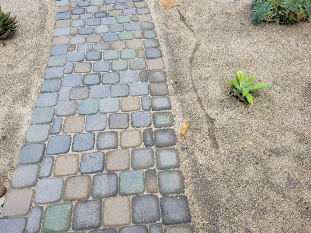 Reliable lawn care service in West Covina, CA - JR Landscape And Design