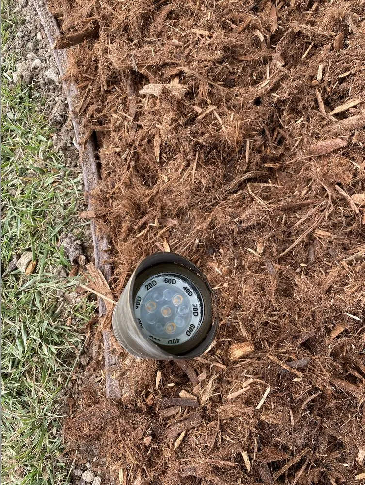 Affordable yard cleanup service in West Covina, CA - JR Landscape And Design