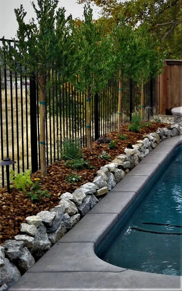 Expert yard cleanup service in Rocklin, CA by Jr Landscape and Maintenance