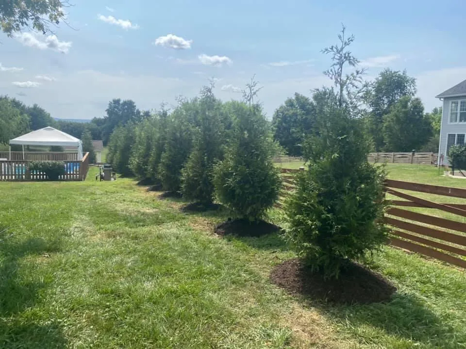 Top-rated yard cleanup service experts serving Fairfax, VA - JR Landscape