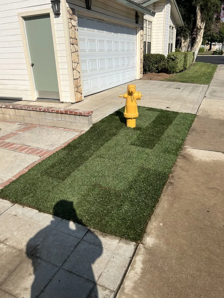 Affordable lawn care service experts serving Moreno Valley, CA - JR Landscape