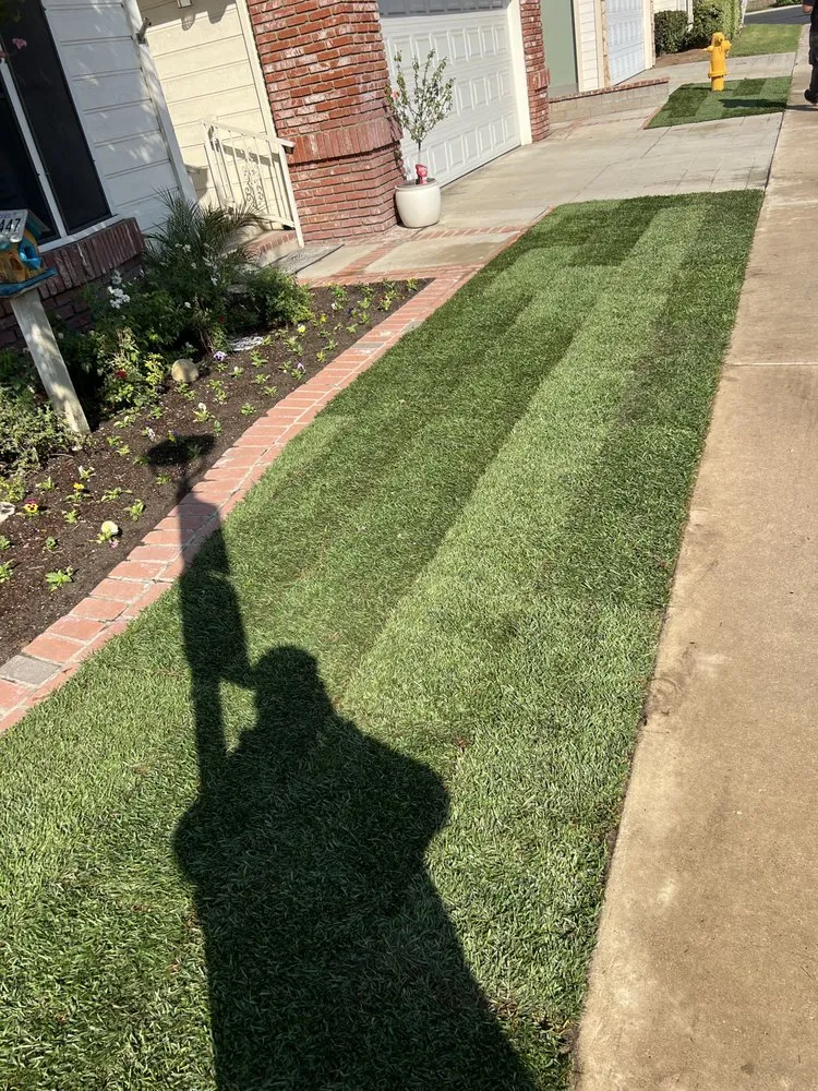 Reliable yard cleanup service in Moreno Valley, CA - JR Landscape